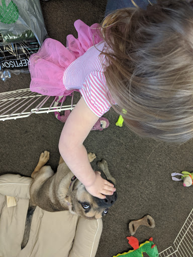 Pet Store «Fins And Feathers», reviews and photos, 222 Willow Ave, Honesdale, PA 18431, USA