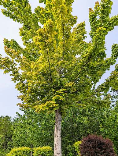 Gym «Courthouse Fitness - West», reviews and photos, 300 Glen Creek Rd NW, Salem, OR 97304, USA