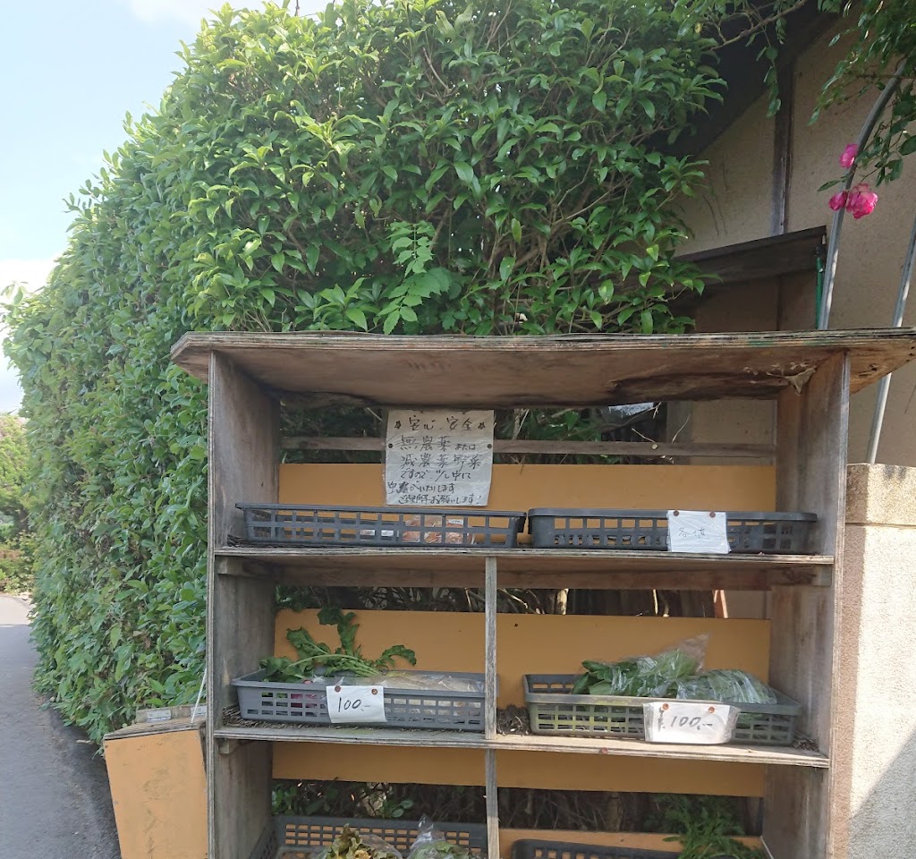 北真(きたしん)・京の旬野菜直売所