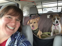 Tails of Boston - Photo 5 - Car repair in , Boston