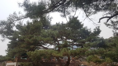 Photos of 광릉분재예술공원캠핑장