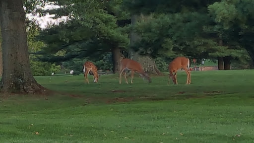 Golf Course «Rutgers Golf Course», reviews and photos, 777 Hoes Ln W, Piscataway Township, NJ 08854, USA