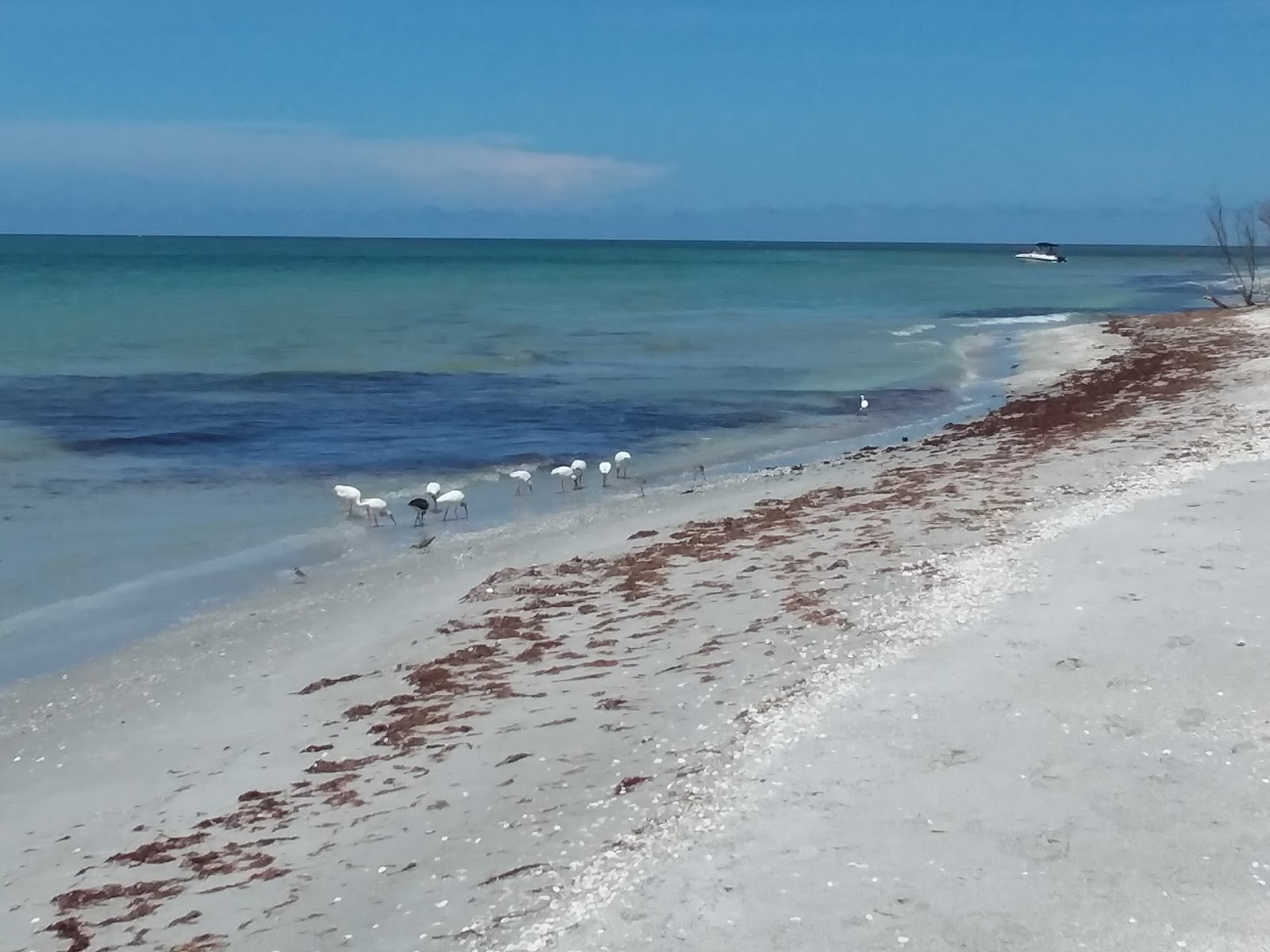 Photo of Silver Key beach with long straight shore