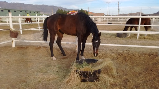 Casino «Sunland Park Racetrack & Casino», reviews and photos, 1200 Futurity Dr, Sunland Park, NM 88063, USA