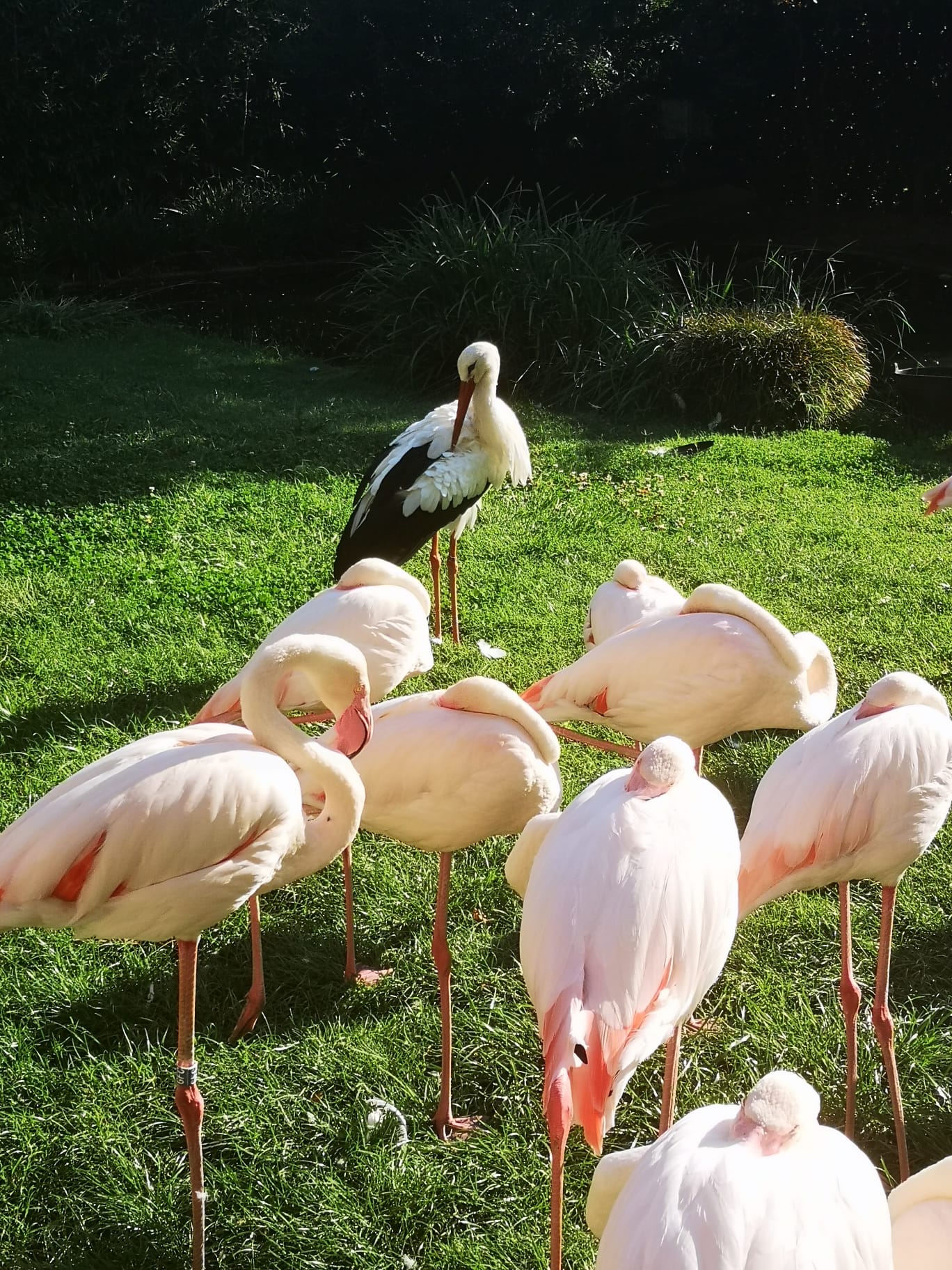 Photo n° 4 de l'avis de Bruno.a fait le 25/08/2023 à 12:01