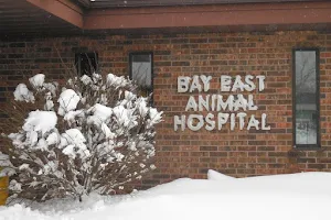 Bay East Animal Hospital image