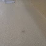 Photo n° 7 de l'avis de Gaëlle.E fait le 17/07/2022 à 10:20 pour Melwann à Bédée