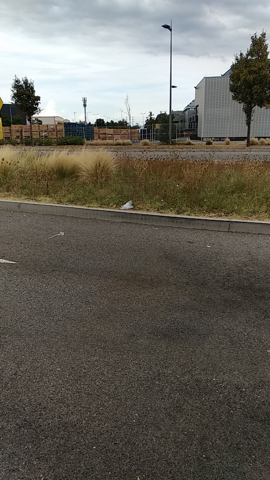 Photo n° 2 de l'avis de Ruchi. fait le 14/08/2022 à 14:23
