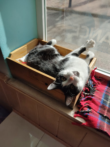 Clínica Veterinaria Loeches en Loeches