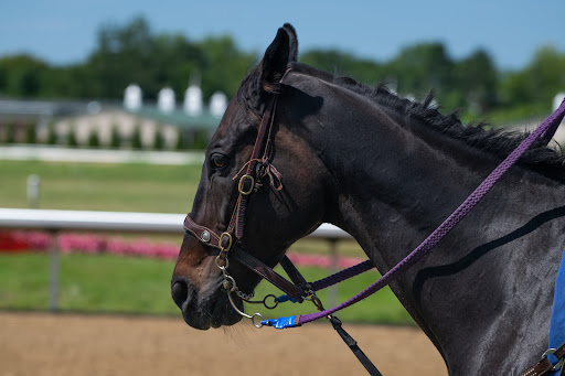 Event Venue «JACK Thistledown Racino», reviews and photos, 21501 Emery Rd, North Randall, OH 44128, USA