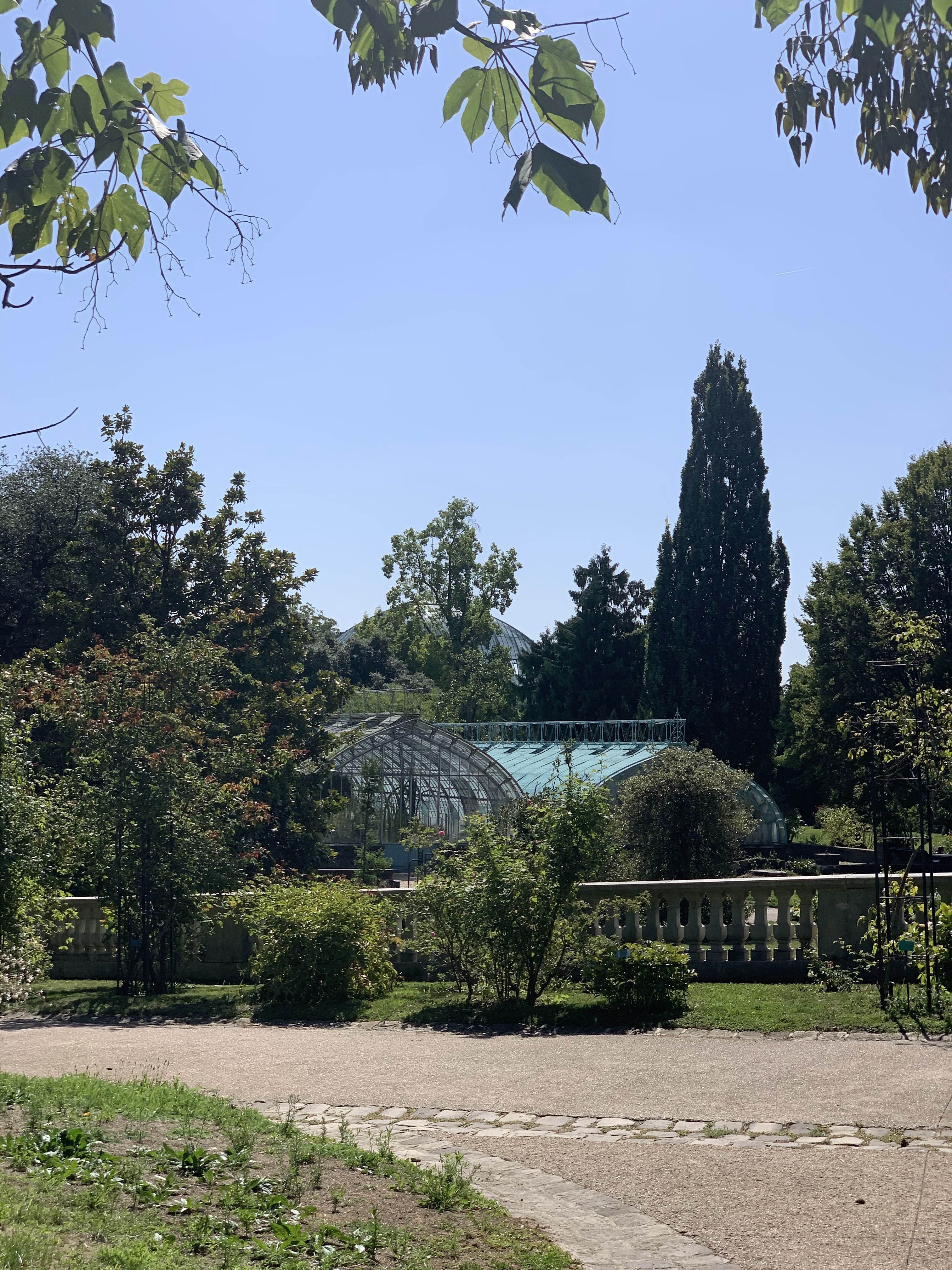 Photo n° 49 de l'avis de Yves.e fait le 23/08/2019 à 11:11