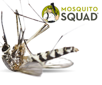 Mosquito Squad of Greater Austin - Photo 2 - Car repair in , Austin