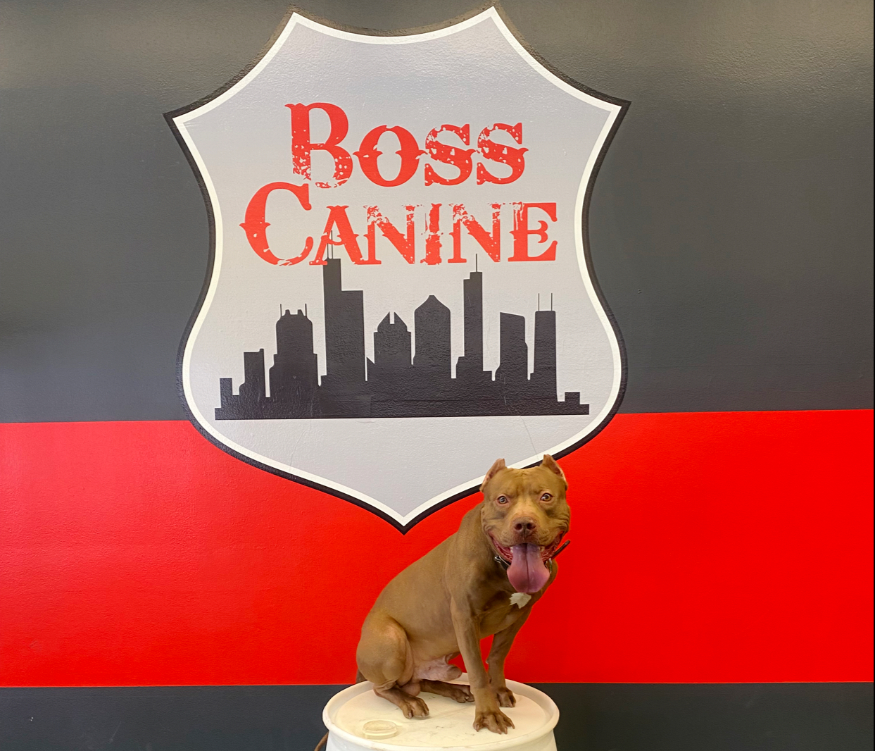 Boss Canine LLC