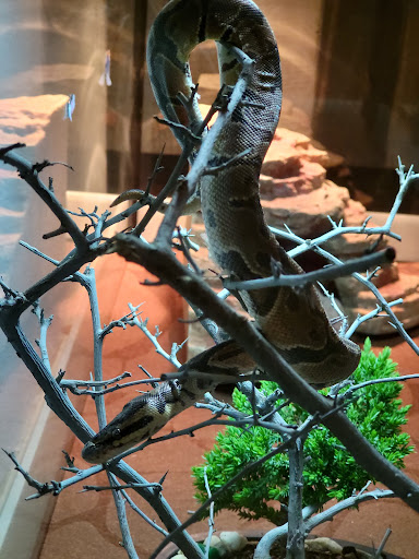 Pet Supply Store «PetSmart», reviews and photos, 4100 Ming Ave, Bakersfield, CA 93309, USA