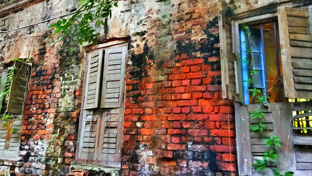 Pane Bari