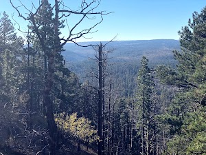 Crow Peak Trailhead - photo 87
