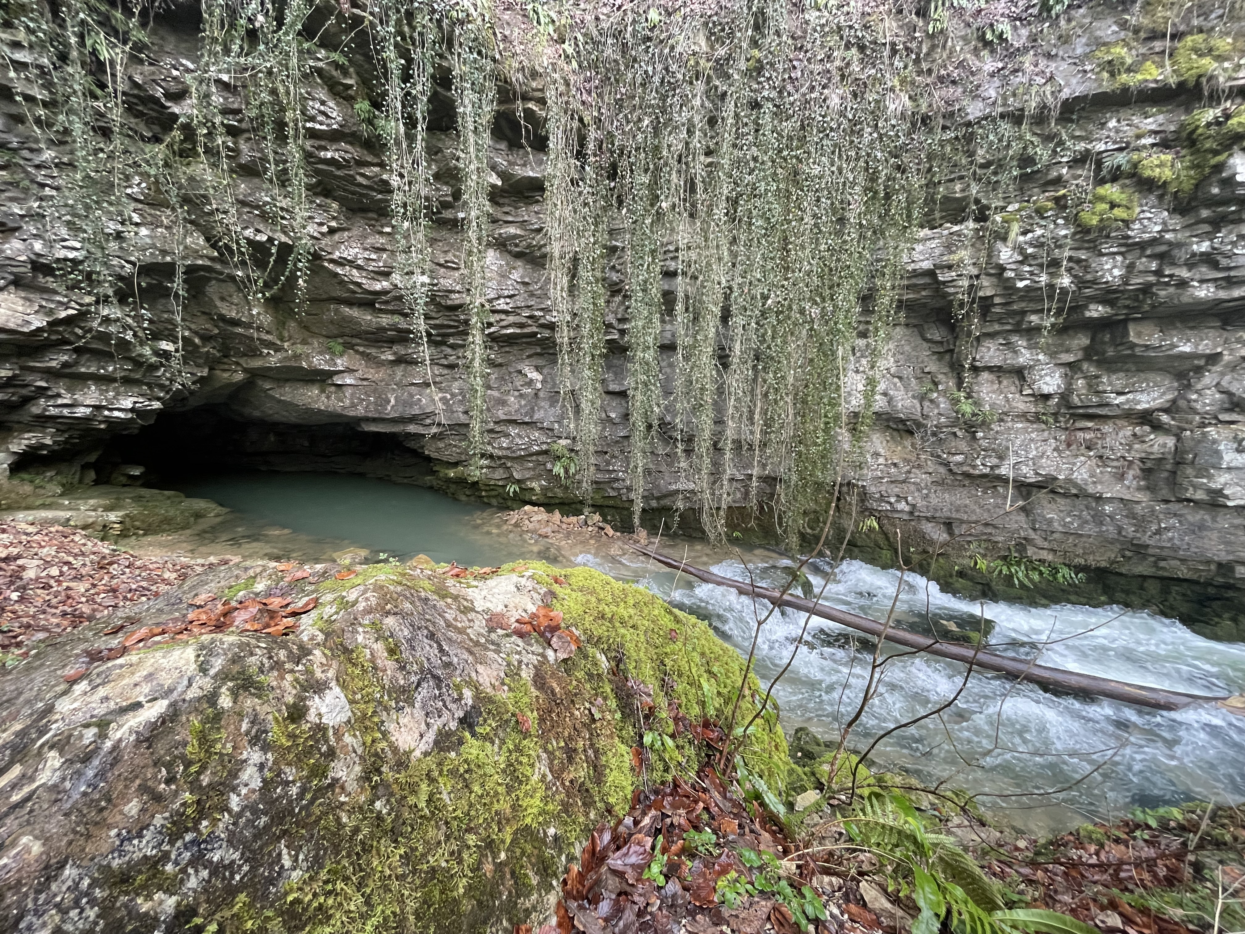 Photo n° 1 de l'avis de Sabine.w fait le 30/12/2022 à 01:07