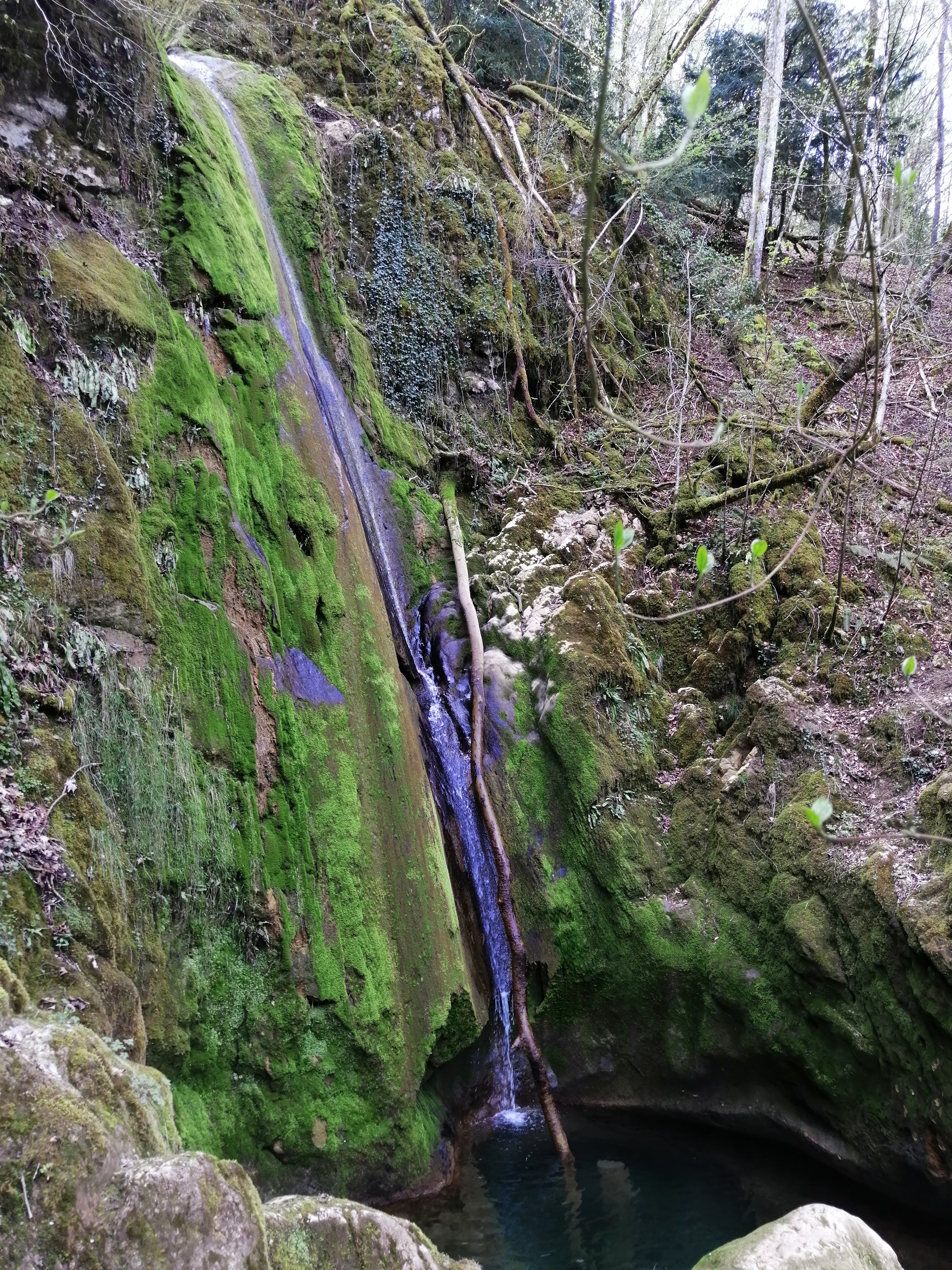 Photo n° 2 de l'avis de Maurice.e fait le 12/04/2023 à 05:42