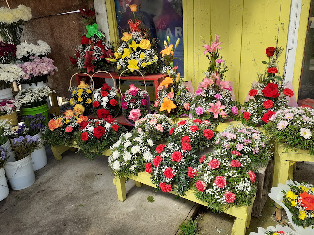Flores a domicilio Miramar - Puerto Montt