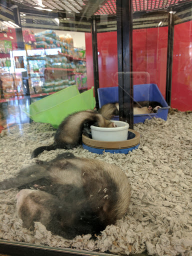 Pet Supply Store «Petco Animal Supplies», reviews and photos, 1401 E Spring Valley Rd, Richardson, TX 75081, USA