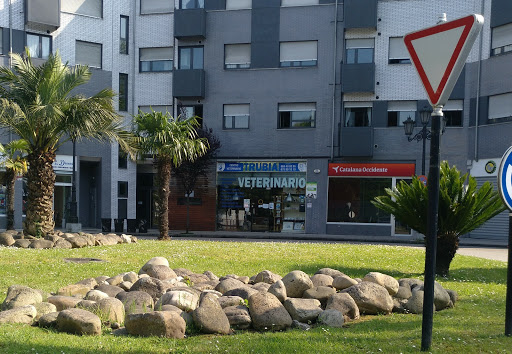 Veterinario Trubia en Trubia