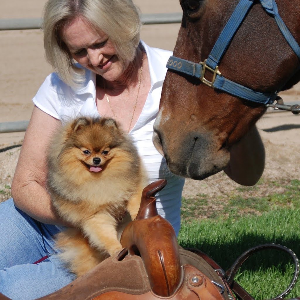 Panhandle Veterinary Services: Owens Sherie DVM