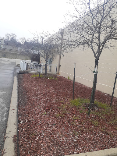 Blood Donation Center «CSL Plasma», reviews and photos