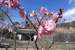 Sohara Natural Park image