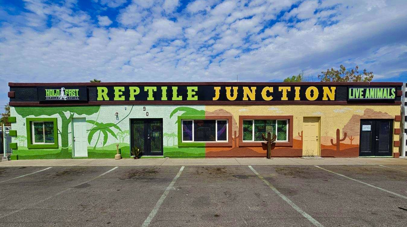 Reptile Junction