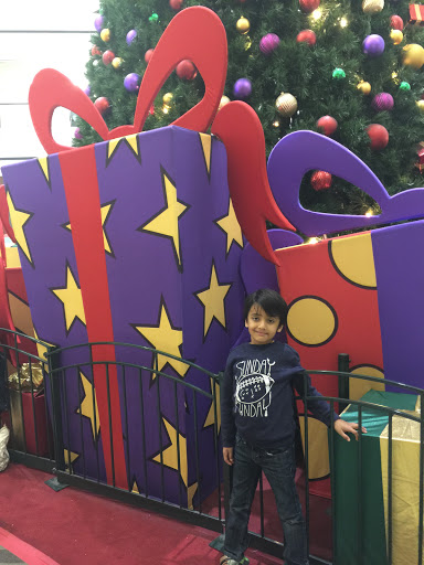 Apple Stoneridge Mall image