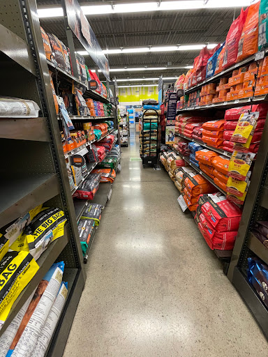 Pet Supply Store «Petco Animal Supplies», reviews and photos, 5994 Montana Ave, El Paso, TX 79925, USA