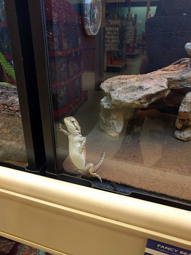 Pet Supply Store «PetSmart», reviews and photos, 1125 Hover St, Longmont, CO 80501, USA