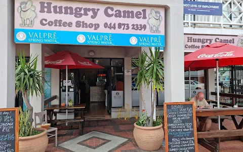 Hungry Camel image