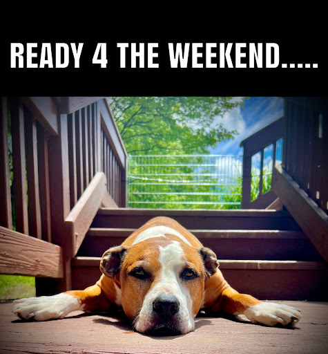 Convenience Store «Spring Valley General Store», reviews and photos, 1616 W Spring Valley Paintersville Rd, Spring Valley, OH 45370, USA