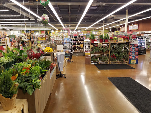 Grocery Store «Fresh Thyme Farmers Market- Apple Valley MN», reviews and photos, 14880 Florence Trail, Apple Valley, MN 55124, USA