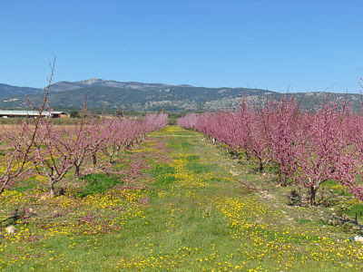 La Pampa au Mas des Issarts à Saint-Jean-de-Fos