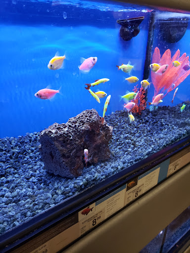 Pet Supply Store «Petco Animal Supplies», reviews and photos, 1660 Orchard Gateway Blvd, North Aurora, IL 60542, USA