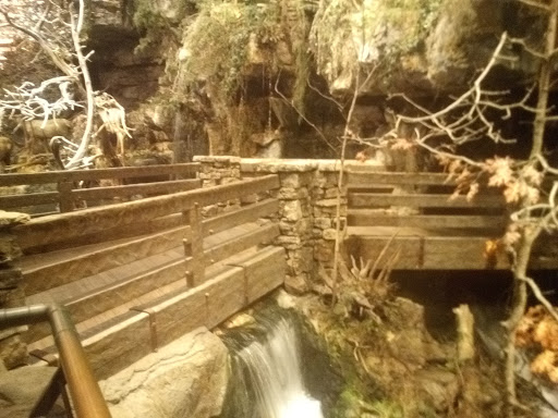 Sporting Goods Store «Bass Pro Shops Base Camp», reviews and photos, 2500 E Kearney St, Springfield, MO 65803, USA