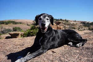 BluePearl Pet Hospice - Houston