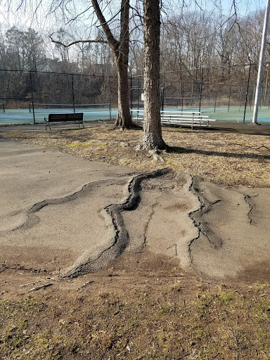 Park «Edgewood Park», reviews and photos, Edgewood Ave, New Haven, CT 06511, USA