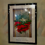 Photo n°20 de l'avis de Simona.h fait le 14/08/2020 à 21:19 sur le  Trattoria da Marchino à Camaiore