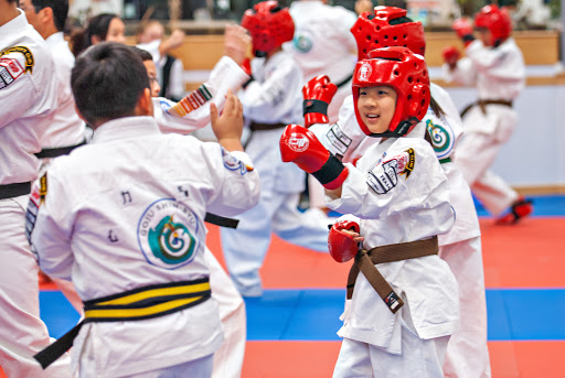 American Martial Arts Academy image