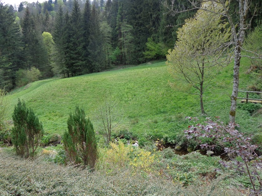 Gite Au fil de l'eau à Bussang (Vosges 88)