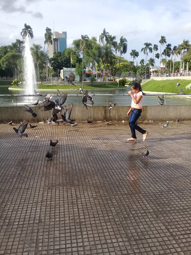 Parques hacer picnic Santa Cruz