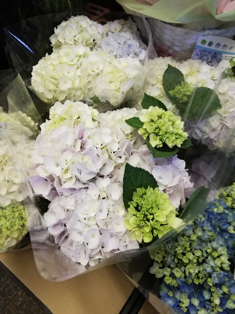 瀬島生花店 島根県出雲市白枝町 花屋 グルコミ