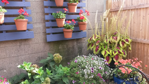 Coffee Shop «Recreo Coffee & Roasterie», reviews and photos, 1876 Centre St, West Roxbury, MA 02132, USA