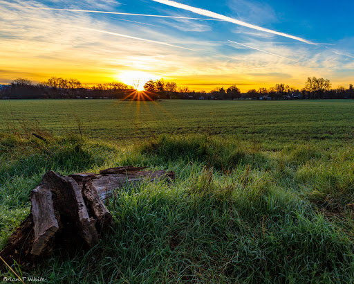 Park «Anderson River Park», reviews and photos