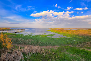 Paynes Prairie