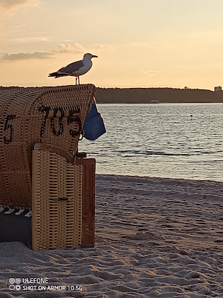 Photo hôtels Hotel Appartements Laboe 24235 Laboe