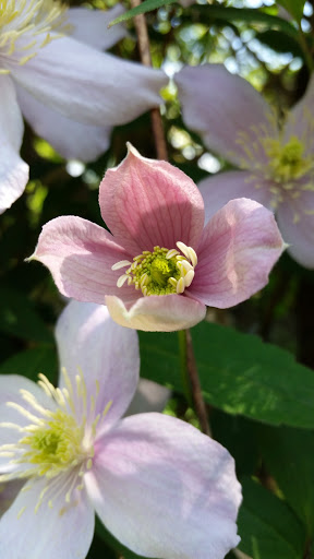 Tourist Attraction «Tollen Farm», reviews and photos, 11681 SW Tooze Rd, Wilsonville, OR 97070, USA